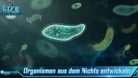 Idle evolution: Life on Earth