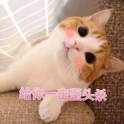 撩人小猫咪表情包