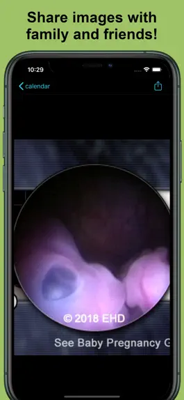 Game screenshot See Baby Pregnancy Guide apk