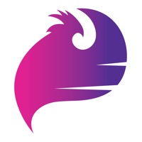New Phoenixes App на пк