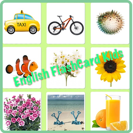 English FlashCard Kids