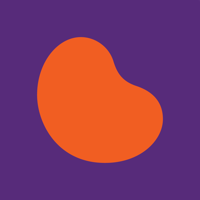 NKF SCM 21