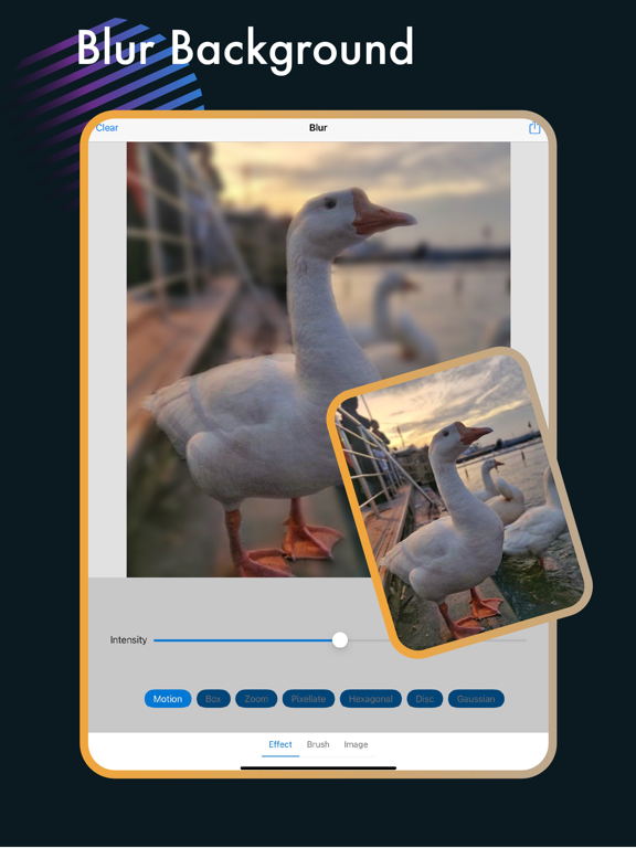 Blur Photo Background Editor screenshot 2