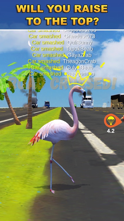 Chicken Challenge 3D Royale screenshot-4