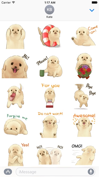 Cute Golden Retriever Puppy