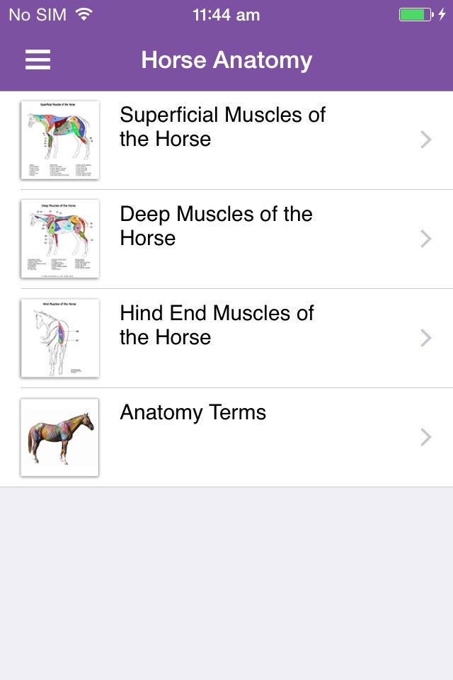 Stretch Your Horse screenshot 4