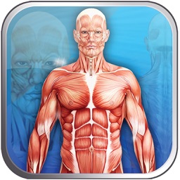 APPunti di anatomia for iPhone