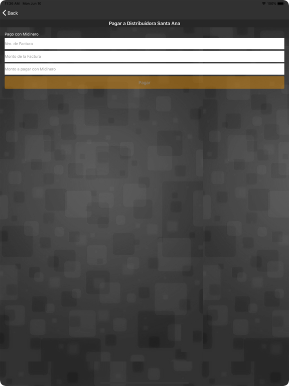 PuntoExpress iPad screenshot