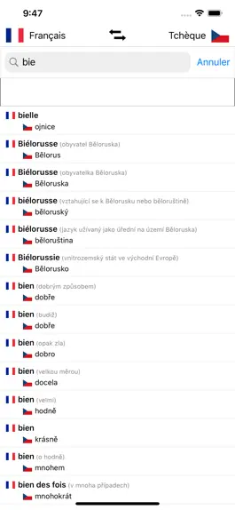Game screenshot Dictionnaire Tchèque/Français hack