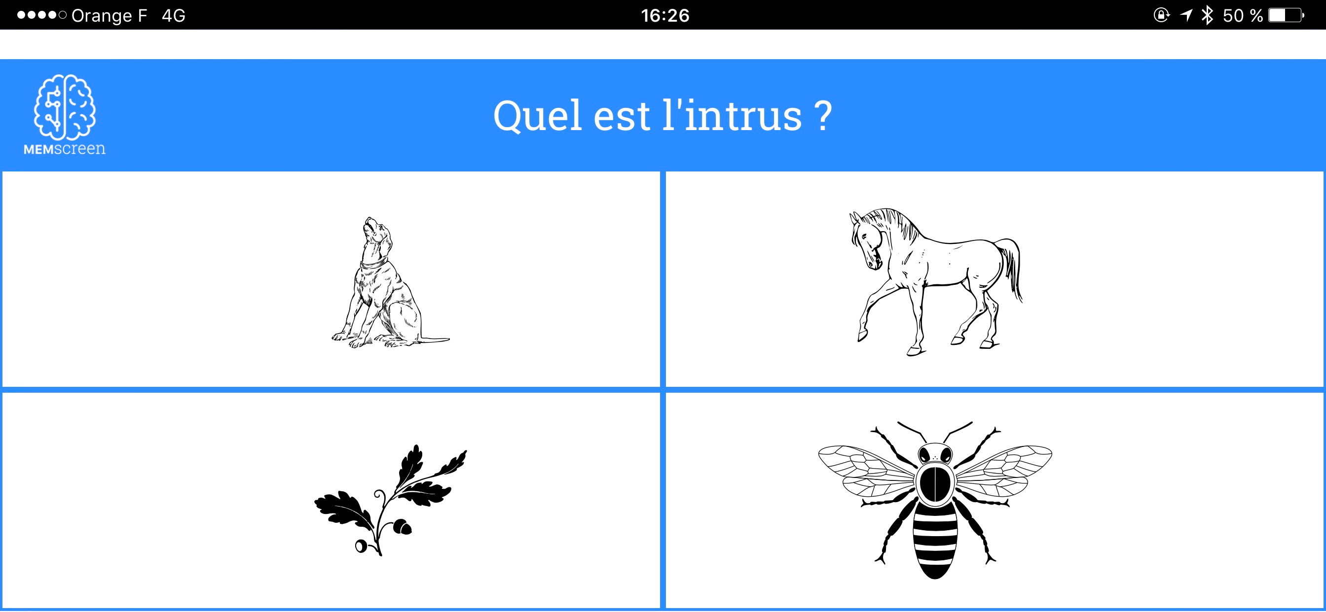 MemScreen
