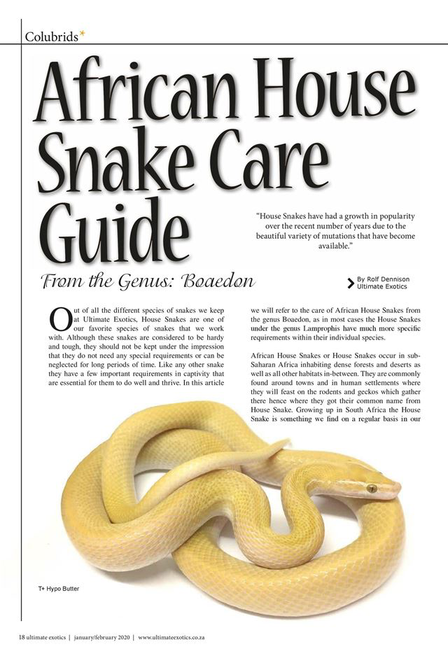 Ultimate Exotics Magazine