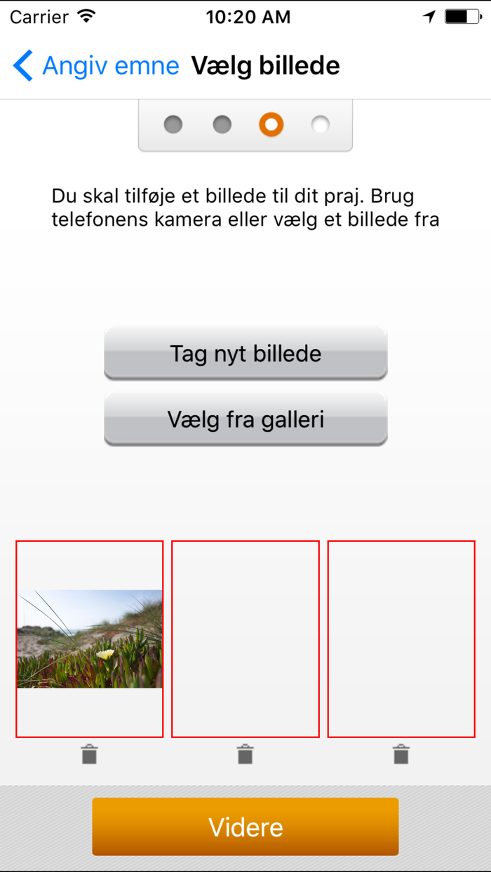 Giv et praj - Skive kommune