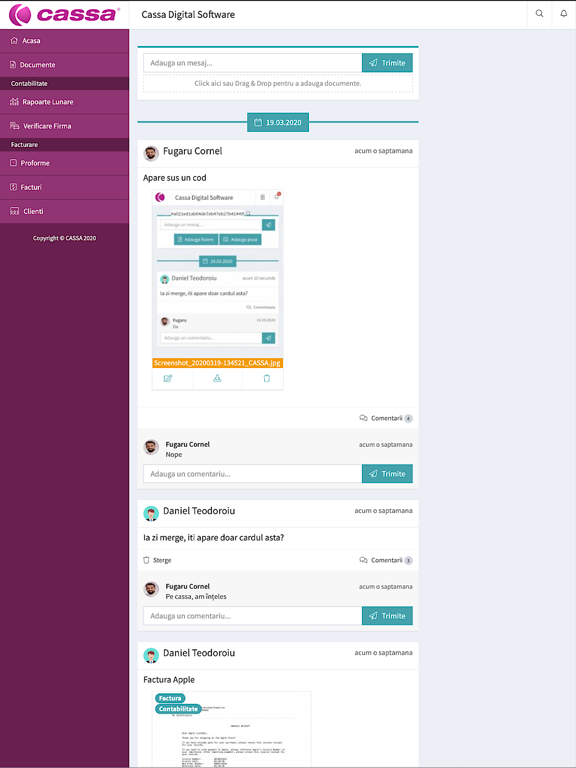 Screenshot #4 pour CASSA Contabilitate Online
