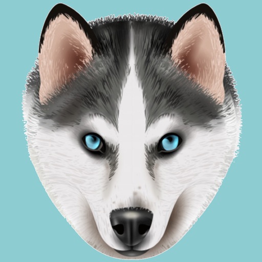 My Siberian Husky icon