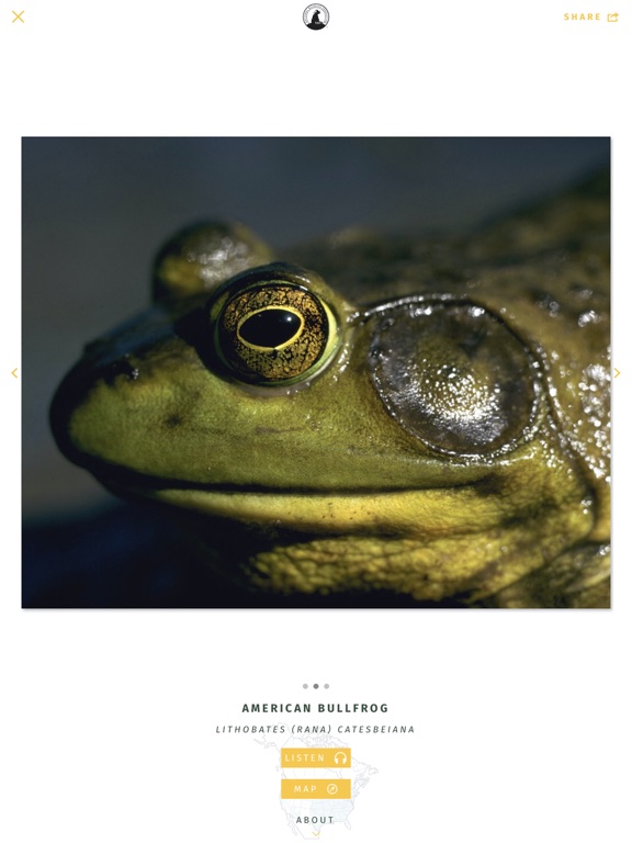 Screenshot #4 pour NWF Guide to Amphibians