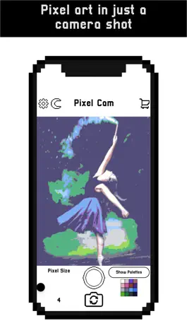 Game screenshot Pixel cam - Make pixel art apk