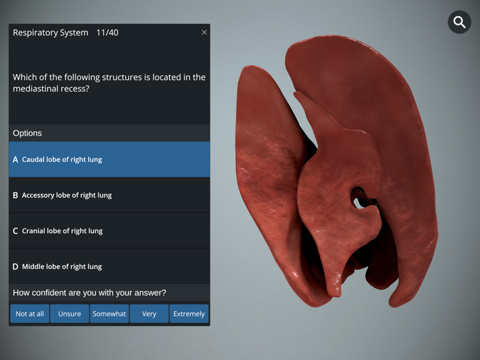 EasyAnatomy 3D Canine Anatomy