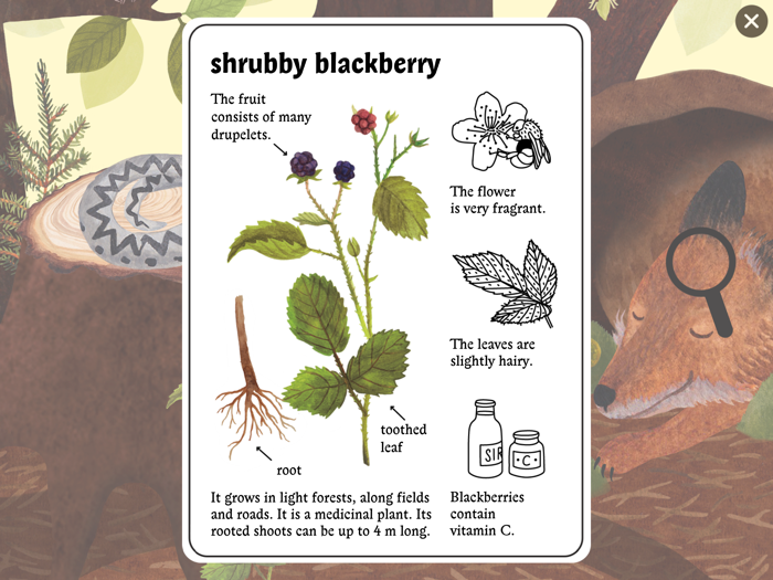 Little Mouses Encyclopedia