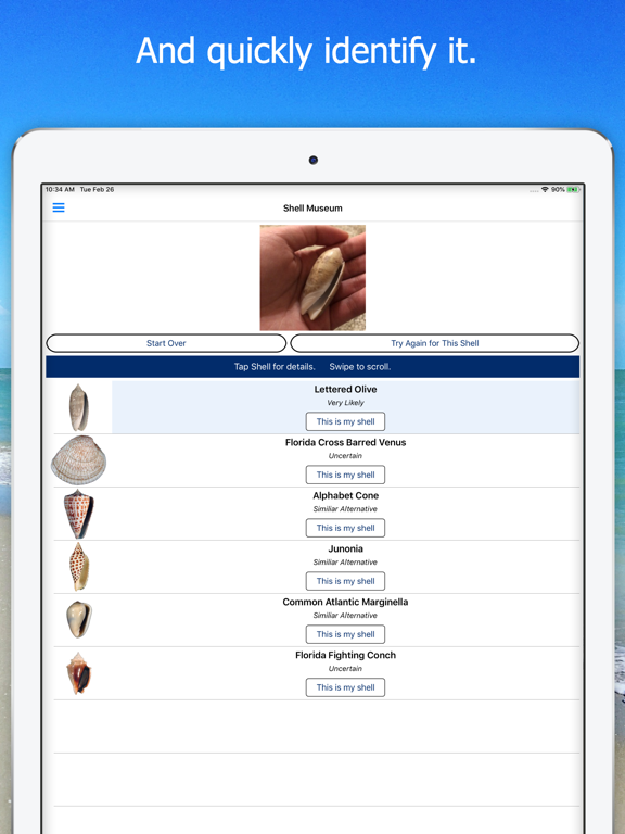 Screenshot #6 pour Shell Museum: Identify Shells