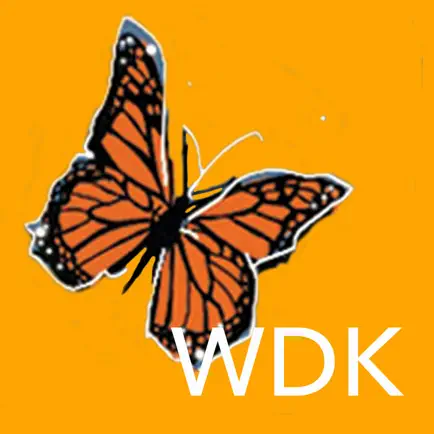 WORRY Deck for Kids Cheats
