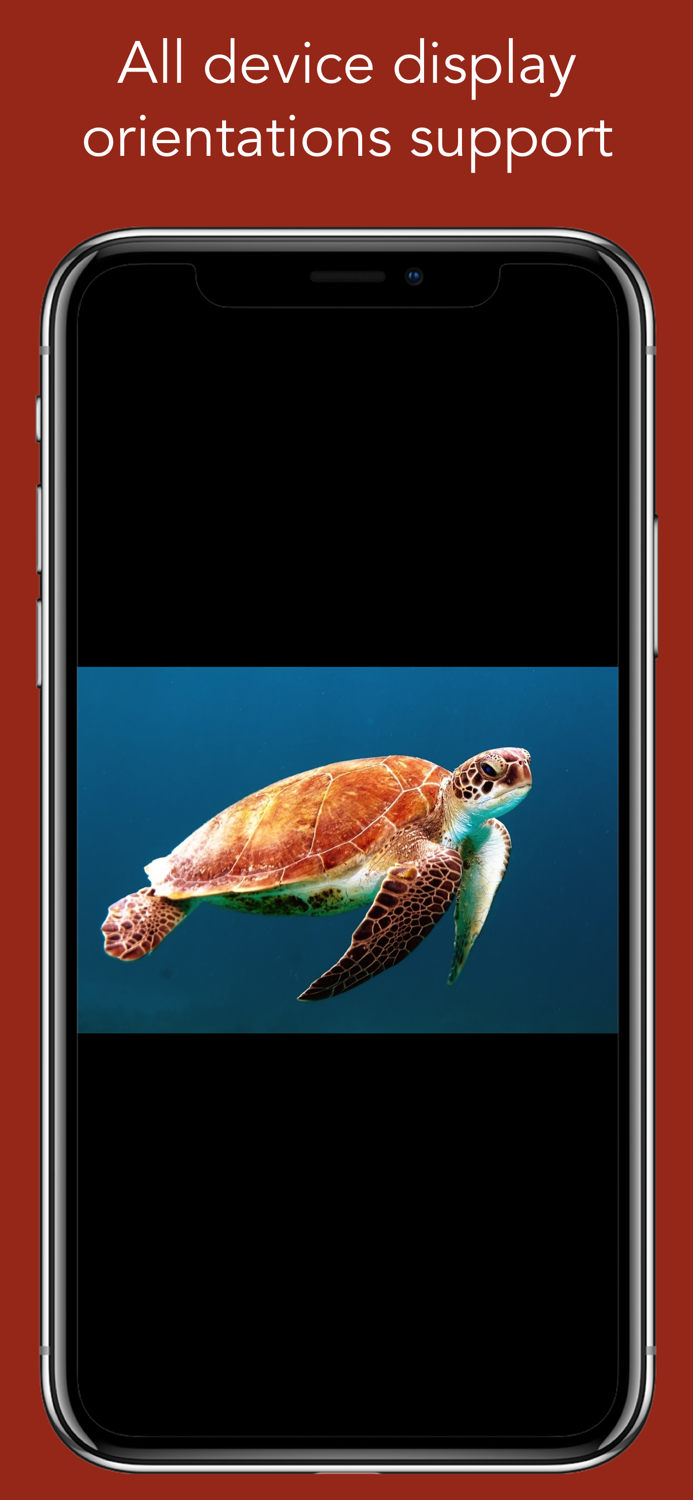 Oceanian TV - TV dOcéanie HD