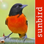 Download Bird Id USA - backyard birds app
