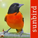Bird Id USA - backyard birds App Positive Reviews