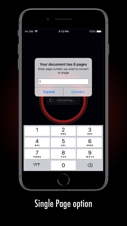 PDF to Image. screenshot-3