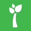 Ornua Spring Wellbeing icon