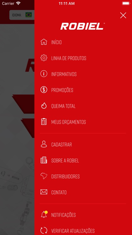 Robiel Injeção Diesel screenshot-3