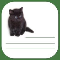 Kitty List pour PC
