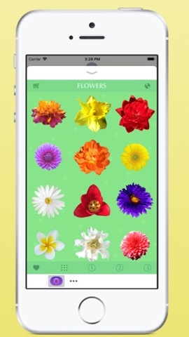 フラワーズ - ステッカー - Flowersのおすすめ画像4