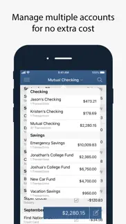 numero: personal finance iphone screenshot 3