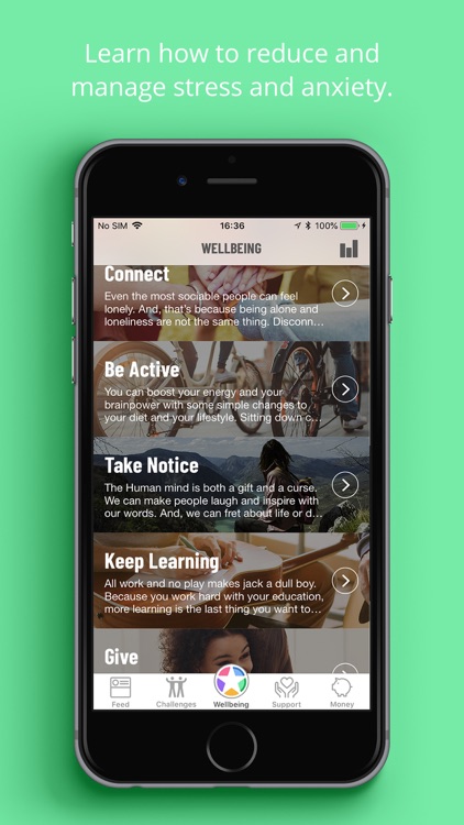 Falmouth/Exeter Uni Wellbeing
