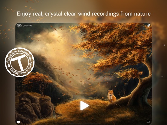 Windy White Noise Sleep Sounds iPad app afbeelding 2