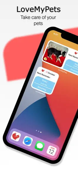 Game screenshot LoveMyPets - Care of pets mod apk