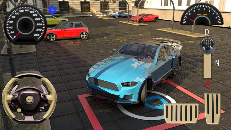 Car Parking - Pro Driver 2021 screenshot-5