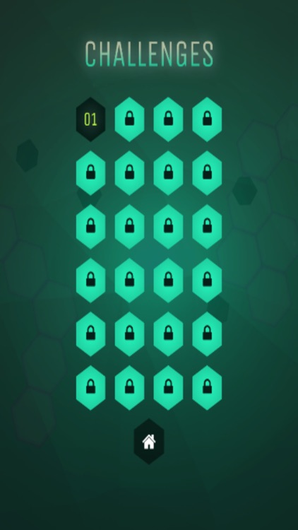 Flight Game Challenge