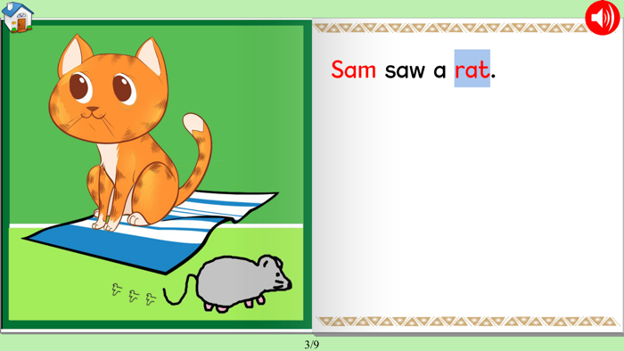 Learn to Read in Kindergarten