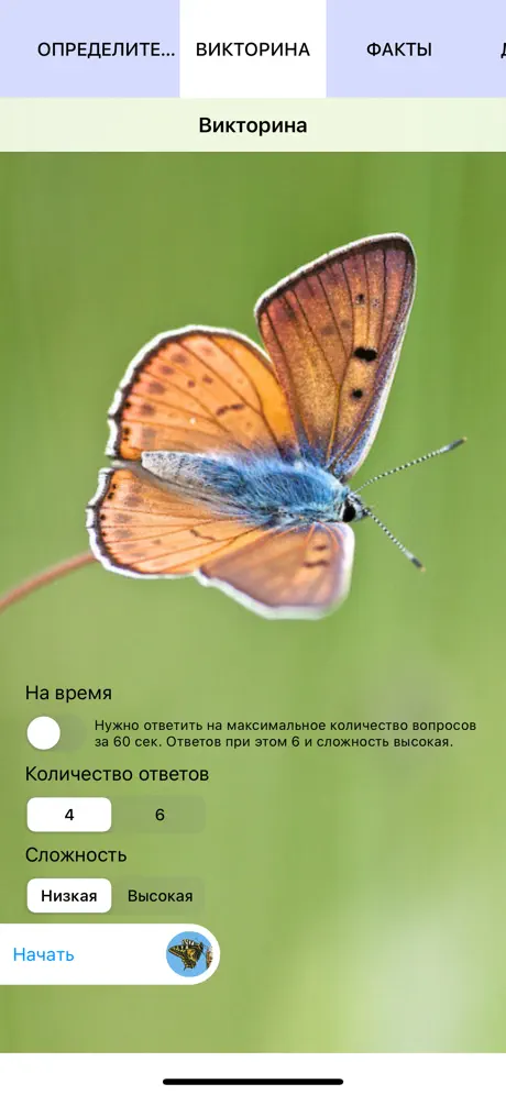 Экогид - Бабочки
