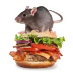 Burger Rats App Positive Reviews