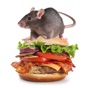 Burger Rats app download