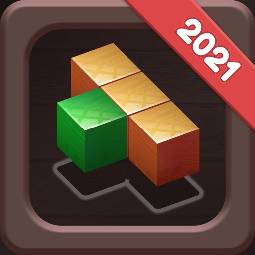 Wood Block Puzzle - Brain Game