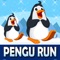 Penguin Run Big Adventure Game