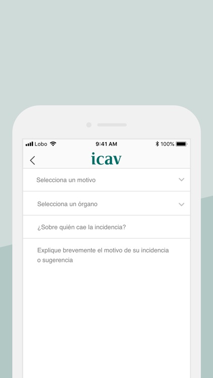ICAV screenshot-4
