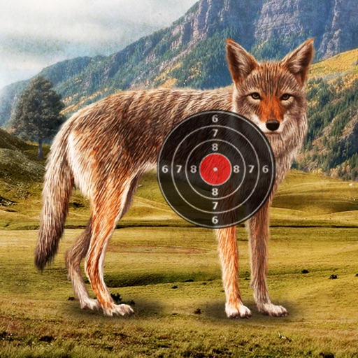 Coyote Target Shooting by Jadynut Games