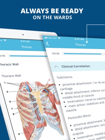 USMLE Clinical Anatomy Quizのおすすめ画像1