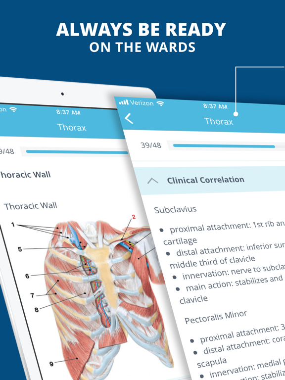 Screenshot #4 pour USMLE Clinical Anatomy Quiz