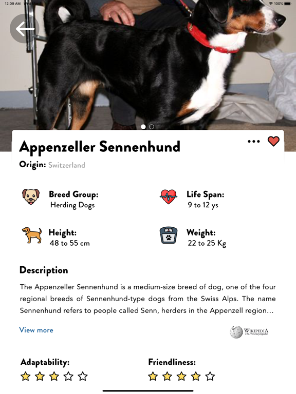 Screenshot #5 pour Dogs Pedia: Breed identifier
