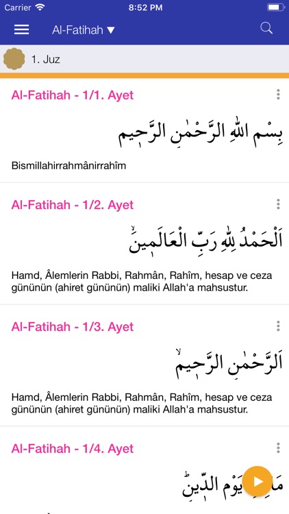 Kur'an-ı Kerim (Diyanet) screenshot-3